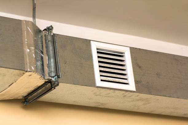 Air Duct Mold Removal in Goldstream, AK